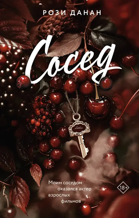 Обложка книги «Сосед», Рози Данан